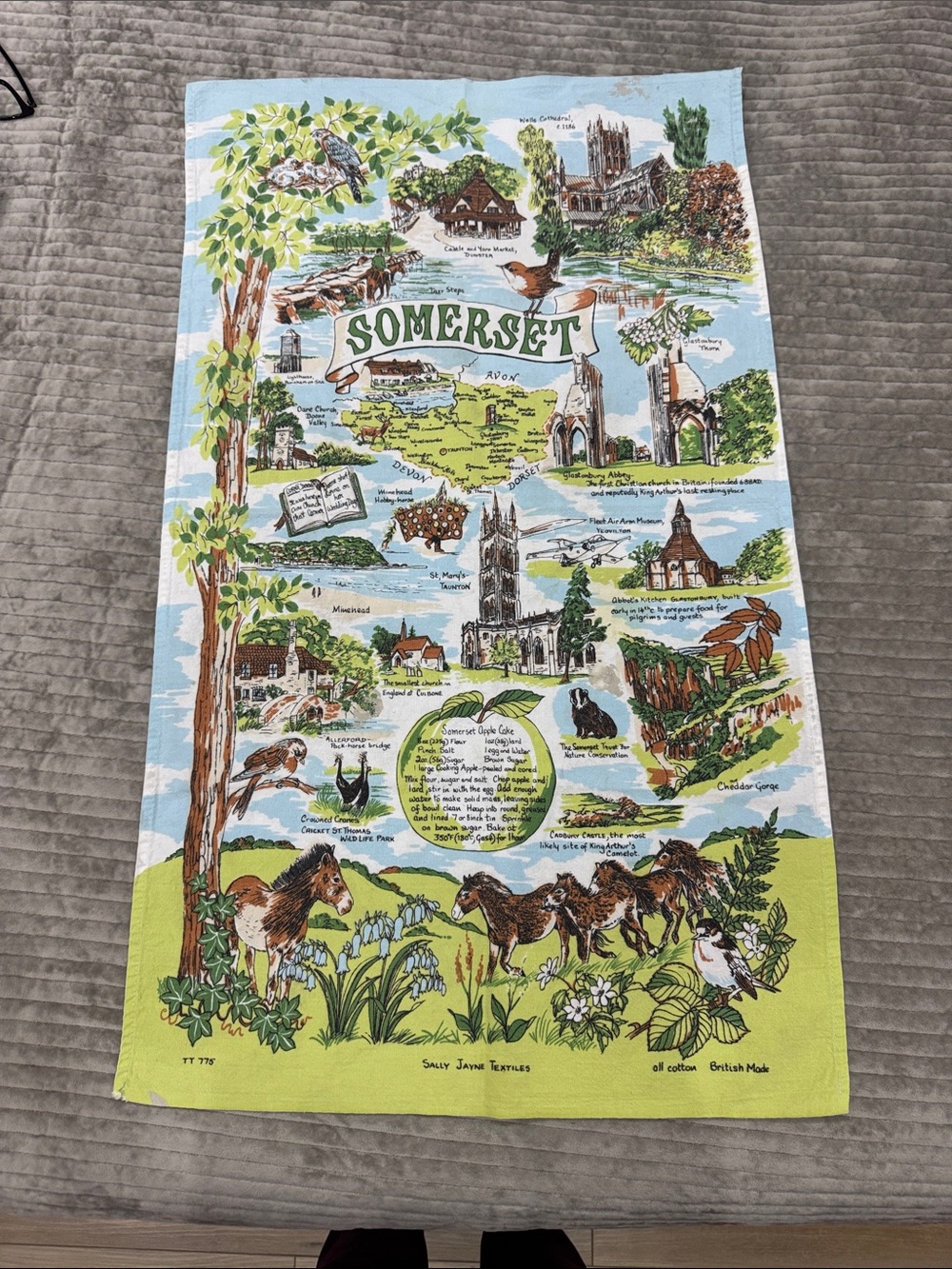 Vintage Somerset Illustrated Tea Towel - Green & Blue